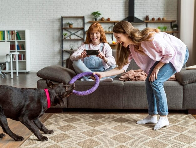 PREMIUM PET TOYS FOR HAPPY PLAYTIME MOMENTS