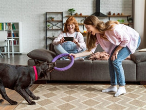PREMIUM PET TOYS FOR HAPPY PLAYTIME MOMENTS