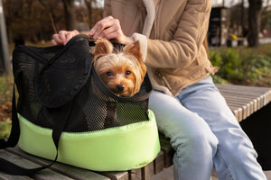 DURABLE PET CARRIERS FOR SAFE TRAVELING