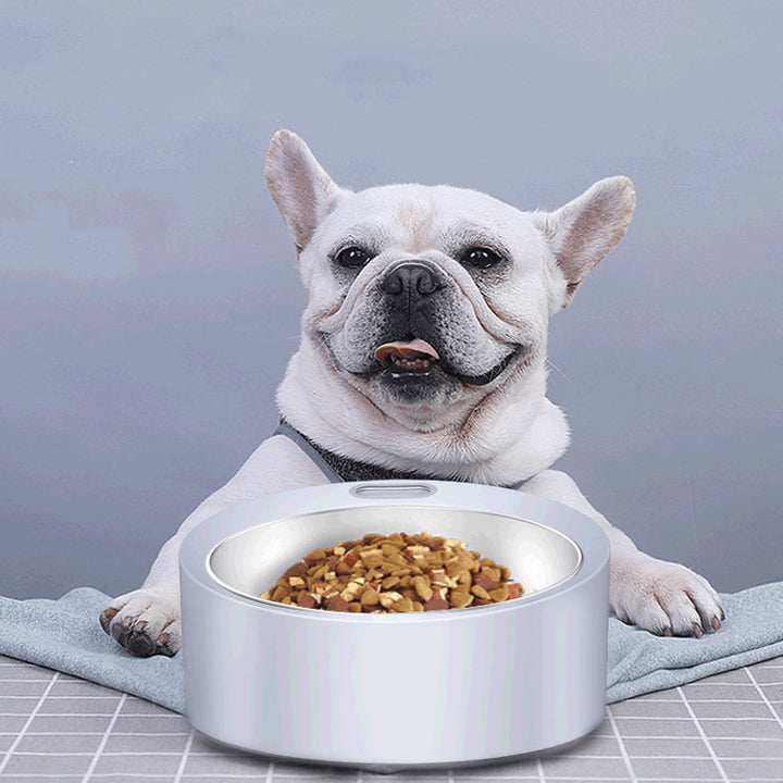 Pet Large Capacity Stainless Steel Weighing Feeder Bowl
