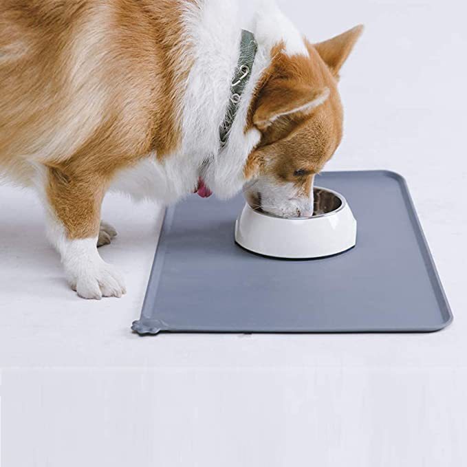Pet Stainless Steel Feeding Bowl Durable Tableware