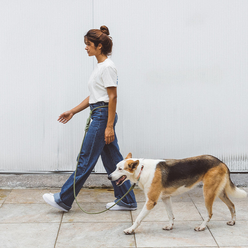 Minimalist Fashion Pet Crossbody Leash For Daily Walking