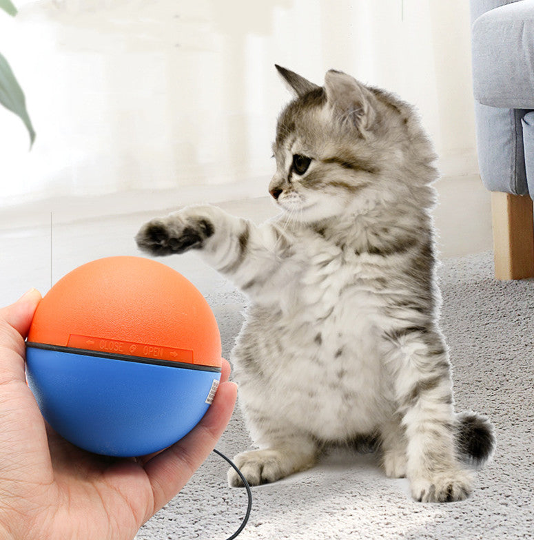 Pet Automatic Interactive Teething Ball Toy