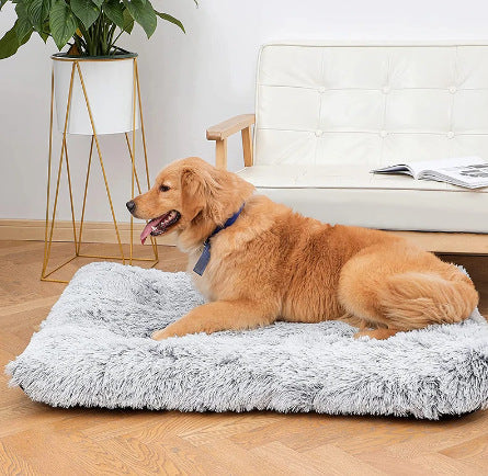 Square Plush Memory Foam Pet Sofa Sleeping Bed