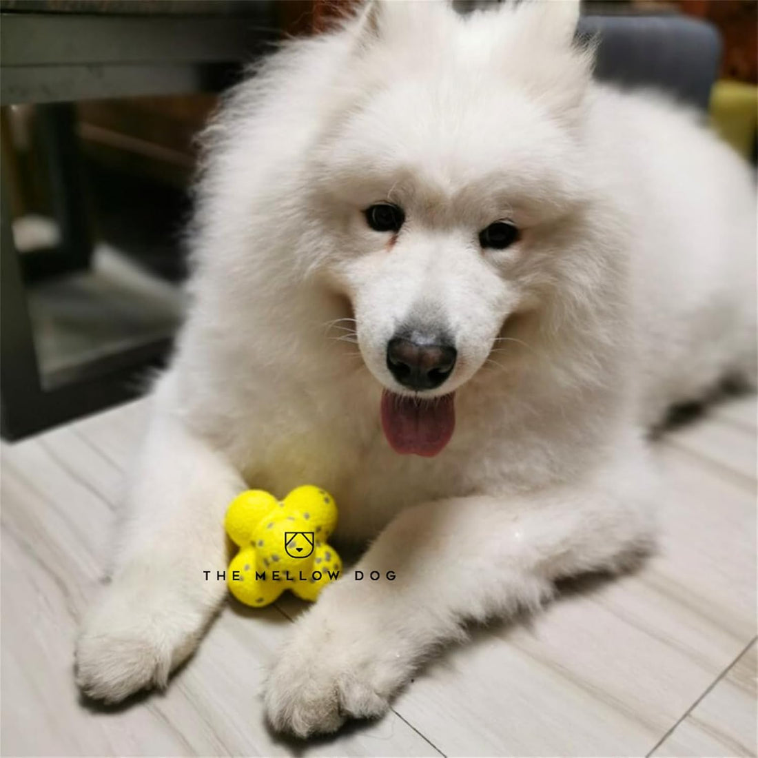 Pet Calming Emotional Support Ball Interactive Toy