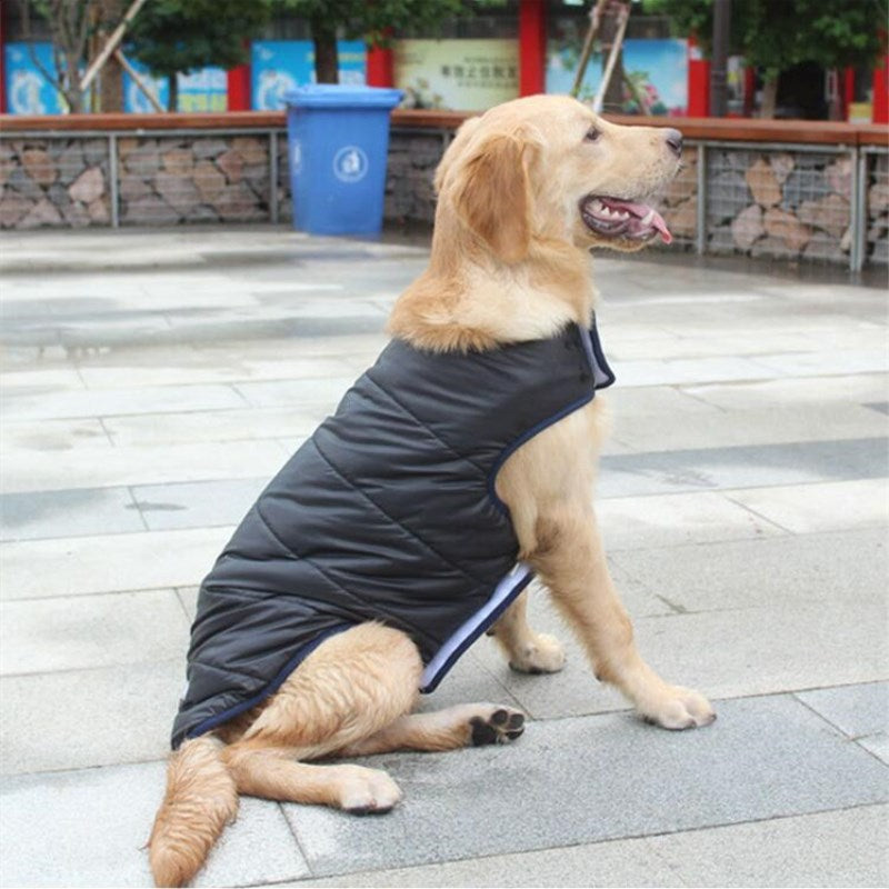 Pet Winter Cotton Coat Warm Outdoor Clothing