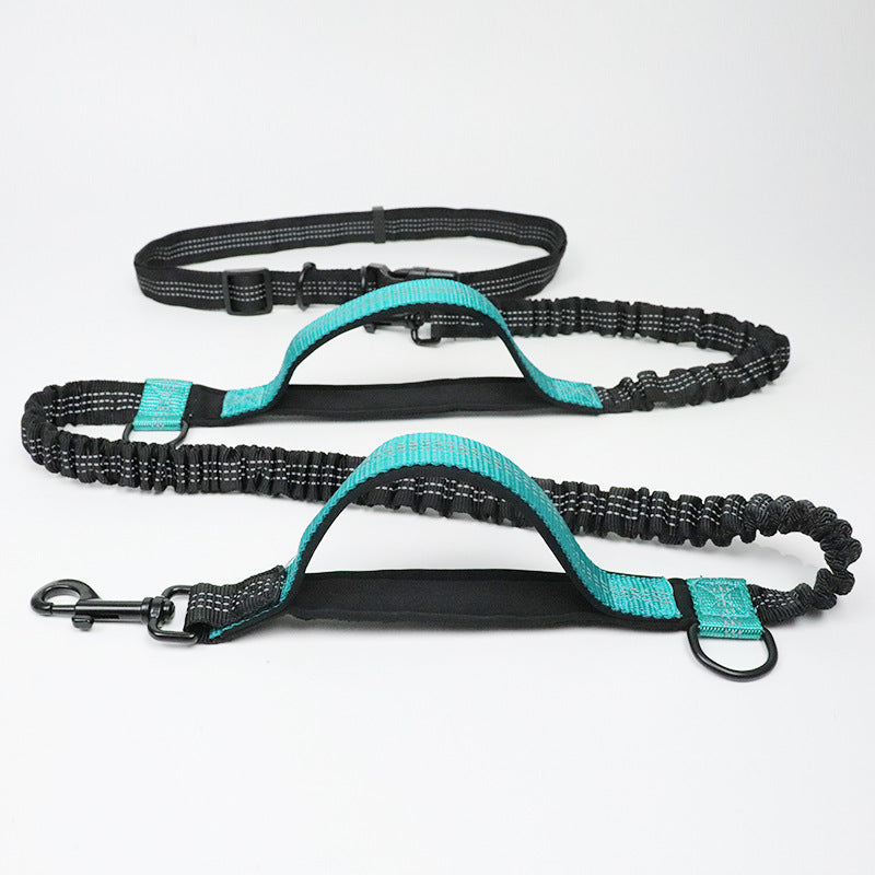 Reflective Dual Elastic Pet Running Leash With Traction Control