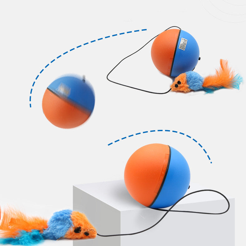 Pet Automatic Interactive Teething Ball Toy