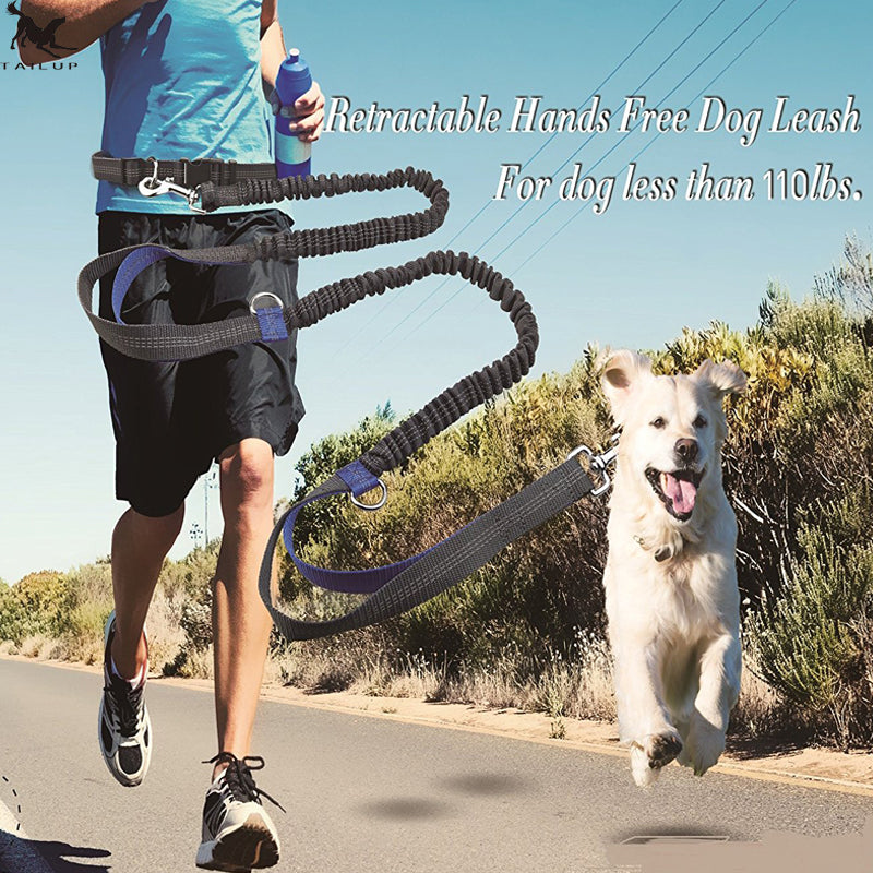 Reflective Dual Elastic Pet Running Leash With Traction Control
