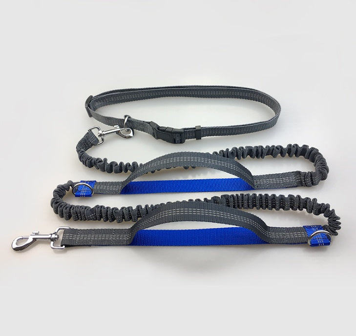 Reflective Dual Elastic Pet Running Leash With Traction Control