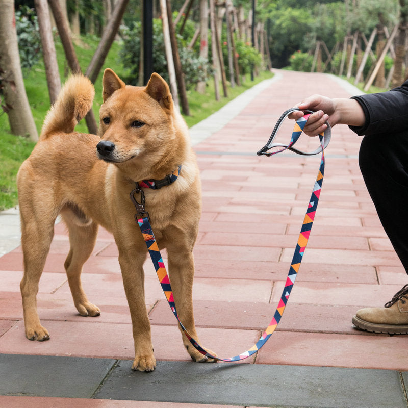 Adjustable Pet Leash Durable Comfortable Everyday Walking Use