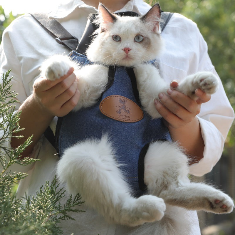 Portable Pet Backpack For Spring Outdoor Travel Carrier