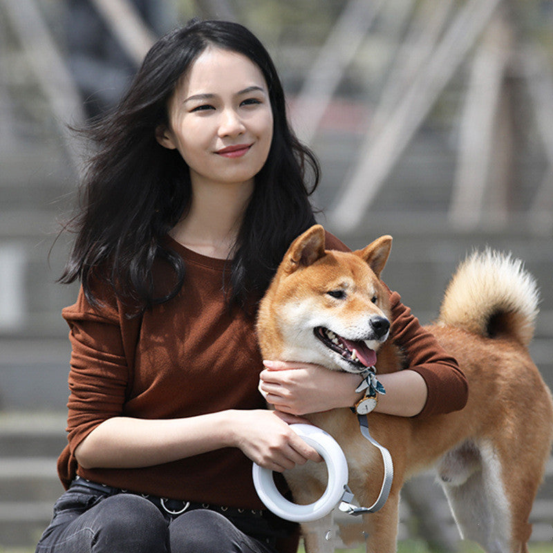 Retractable Pet Leash With Collar Cute Star Design Durable