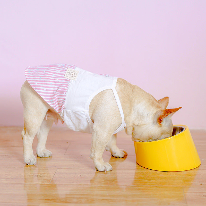 Inclined Stainless Steel Pet Food Bowl For Pets