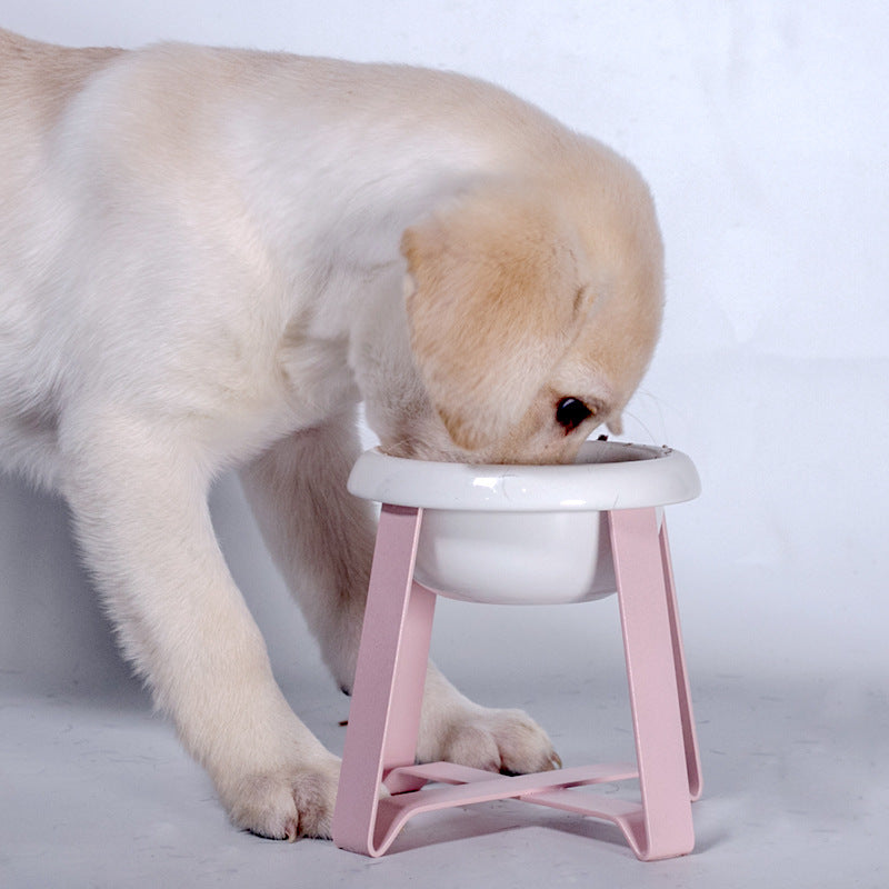 Creative Anti Slip Pet Feeding Bowl With Stand