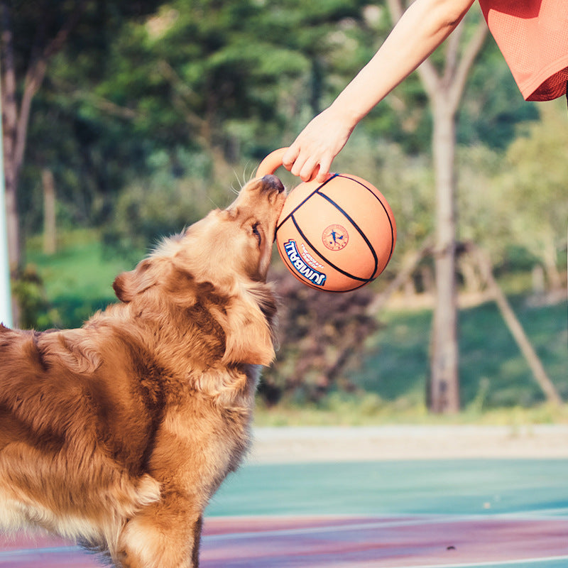 Pet Puzzle Ball Bite-Resistant Interactive Toy