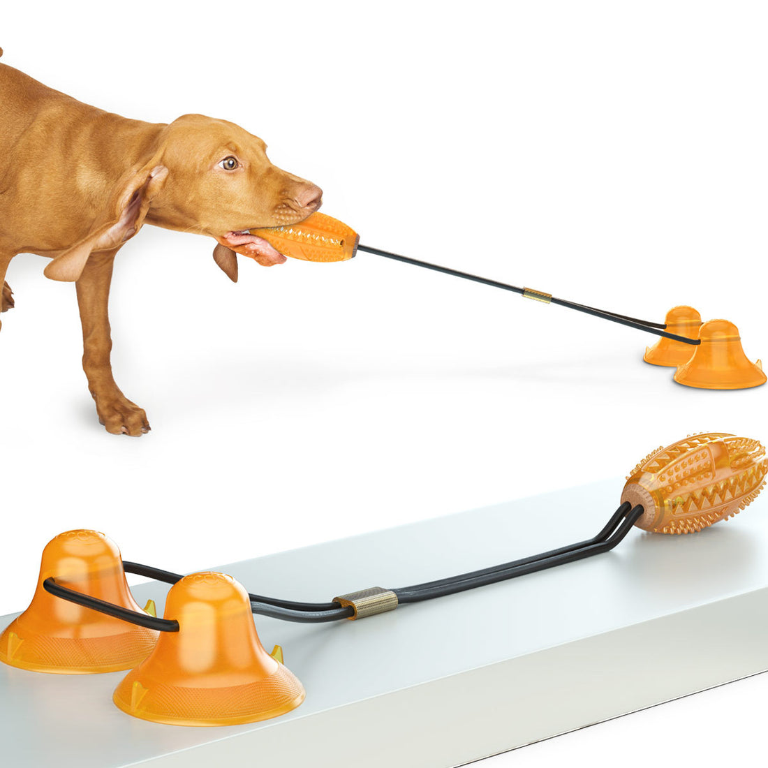 Pet Double Tug Rope Ball Suction Bite-Resistant Chew Toy