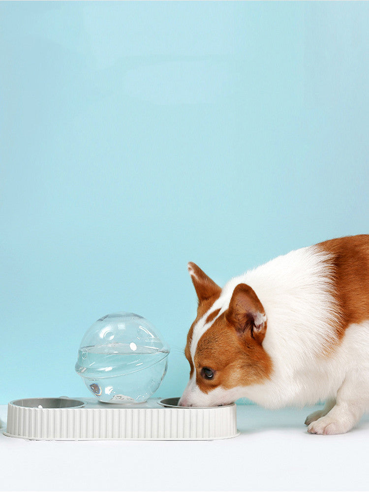 Pet Automatic Water Feeder Plastic Drinking Bowl