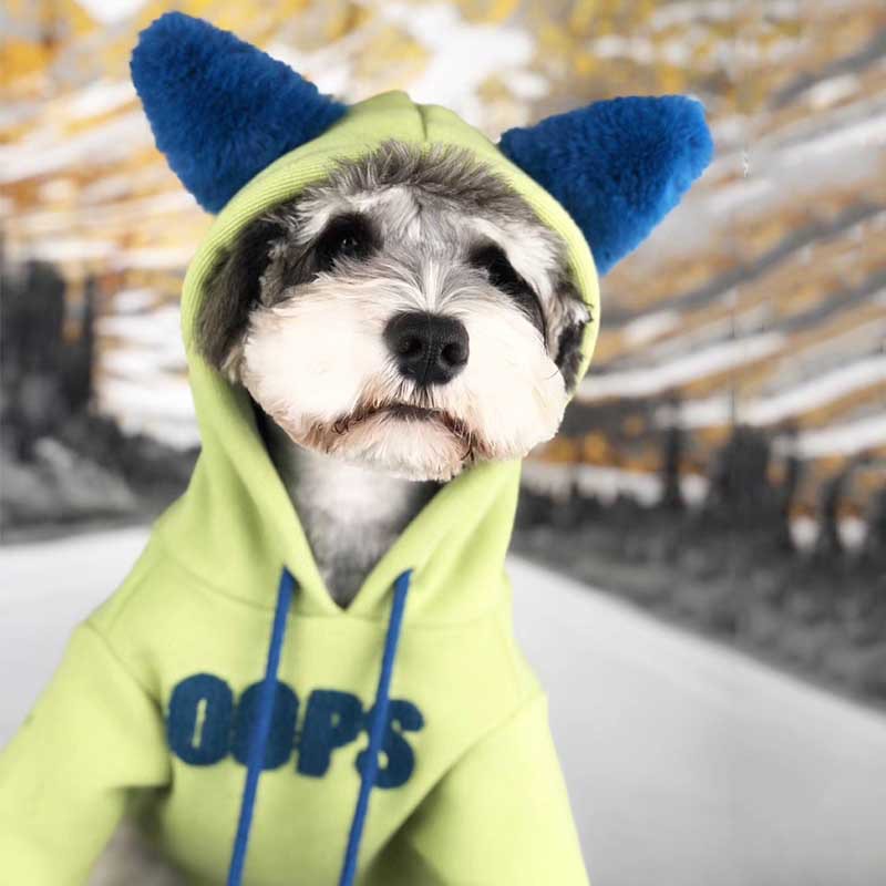 Premium Plush Velvet Warm Pet Sweater