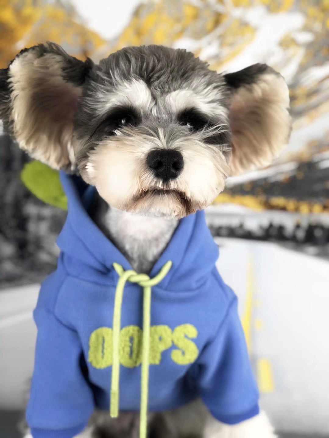 Premium Plush Velvet Warm Pet Sweater