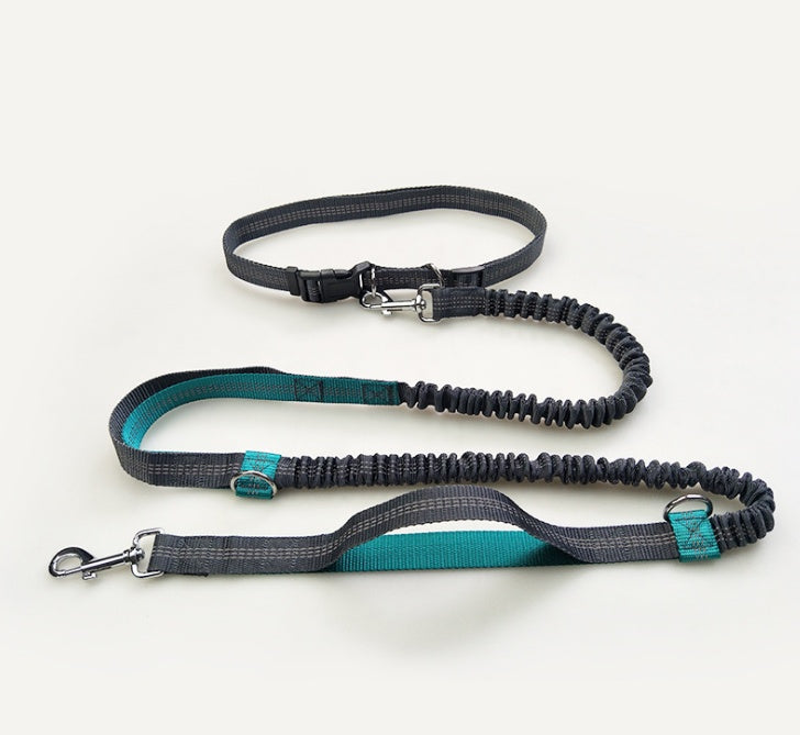 Reflective Dual Elastic Pet Running Leash With Traction Control