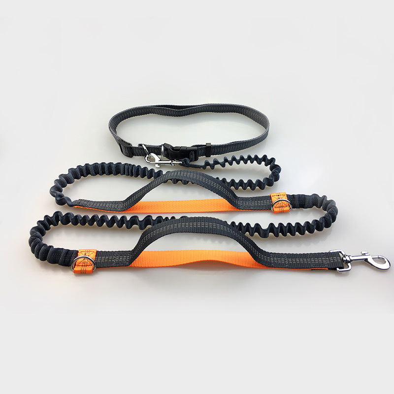 Reflective Dual Elastic Pet Running Leash With Traction Control