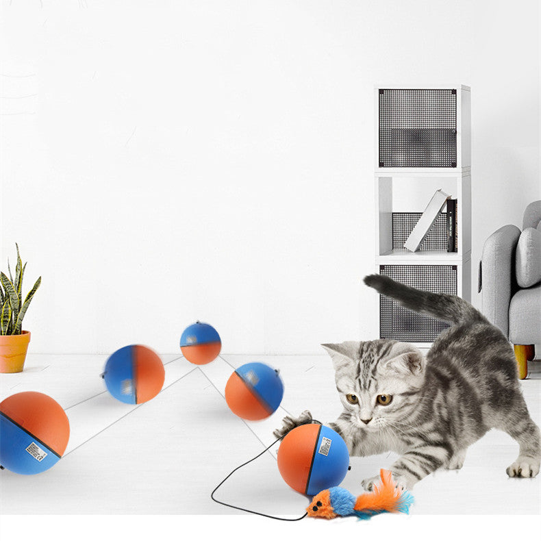 Pet Automatic Interactive Teething Ball Toy
