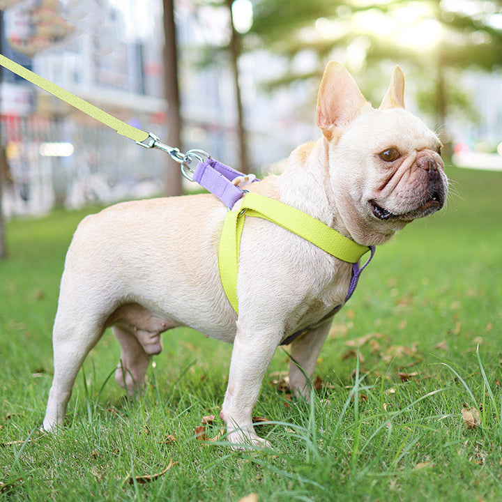 Colorful Pet Drawstring Leash Vest Style Adjustable Harness