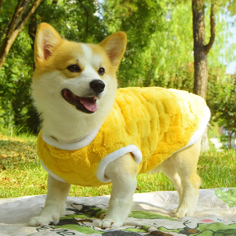Warm Padded Fall Winter Anti Dirt Pet Vest