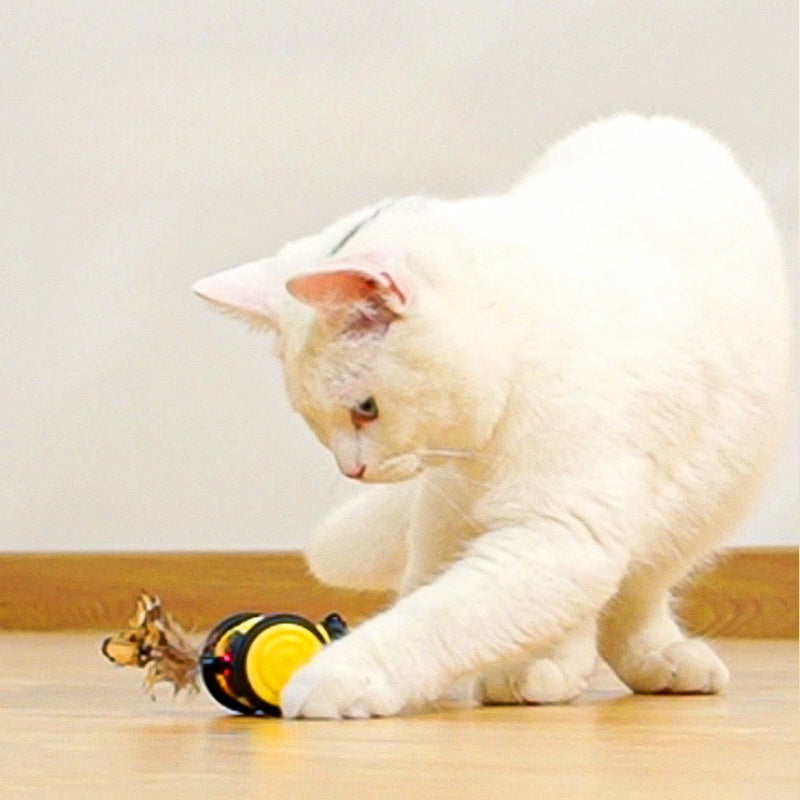 Pet Electric Interactive Moving Teaser Toy
