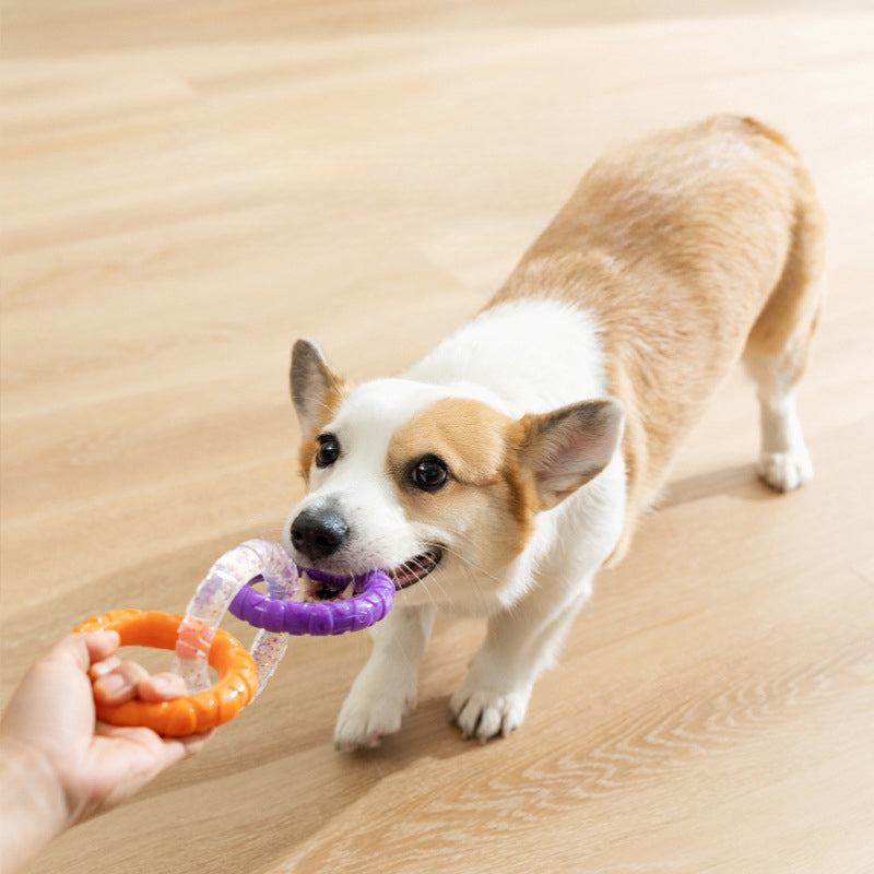 Pet Floating Flying Disc Interactive Training Chew Toy