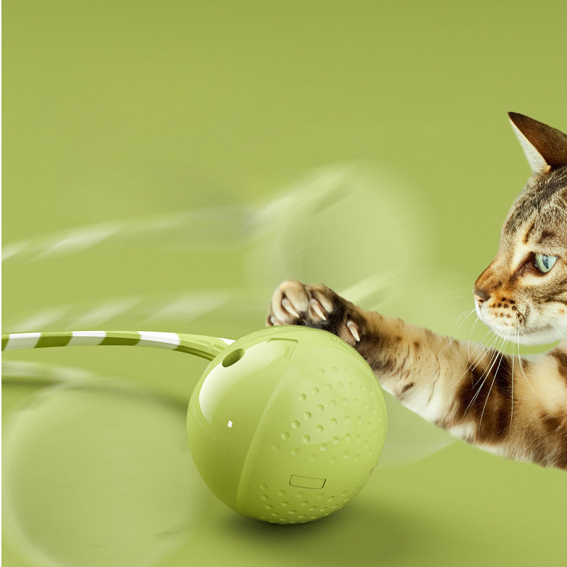 Pet Electric Motion Activated Interactive Ball Toy