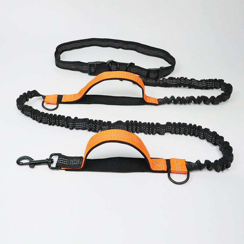 Reflective Dual Elastic Pet Running Leash With Traction Control