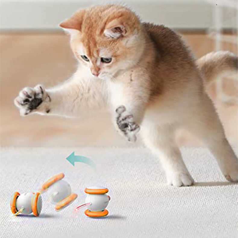 Pet Electric Intelligent Teasing Charging Interactive Toy