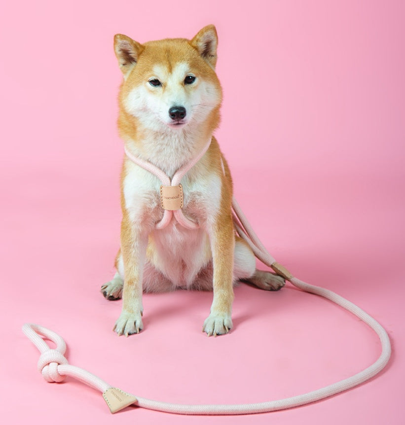 Dual Purpose Integrated Round Rope Pet Leash Durable Design