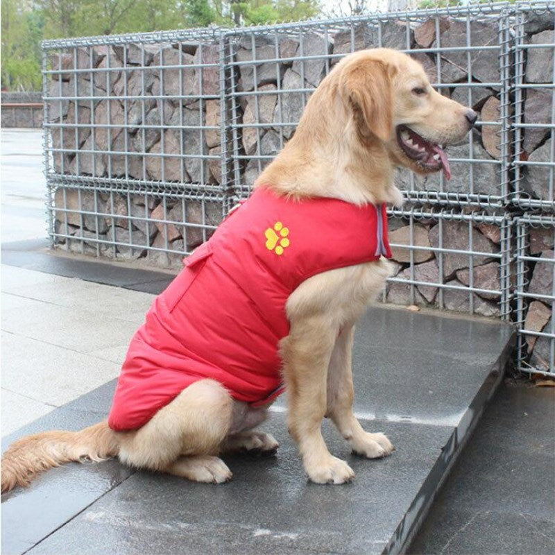 Pet Winter Cotton Coat Warm Outdoor Clothing