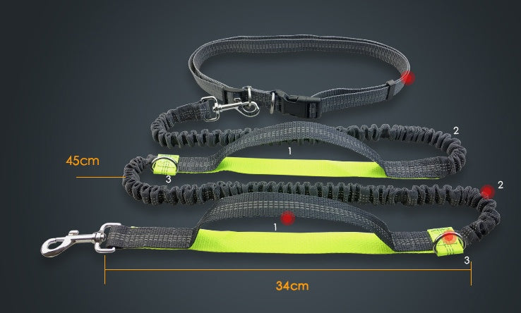 Reflective Dual Elastic Pet Running Leash With Traction Control