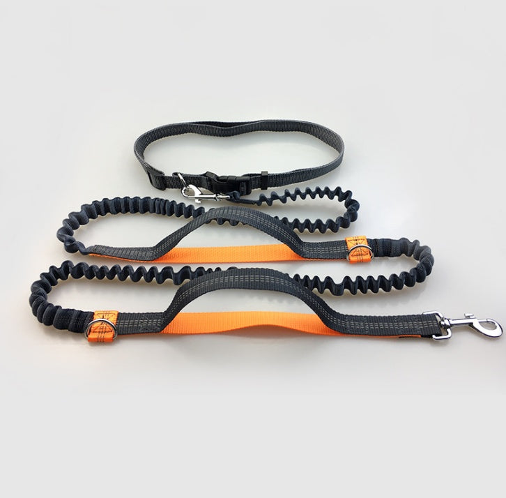 Reflective Dual Elastic Pet Running Leash With Traction Control