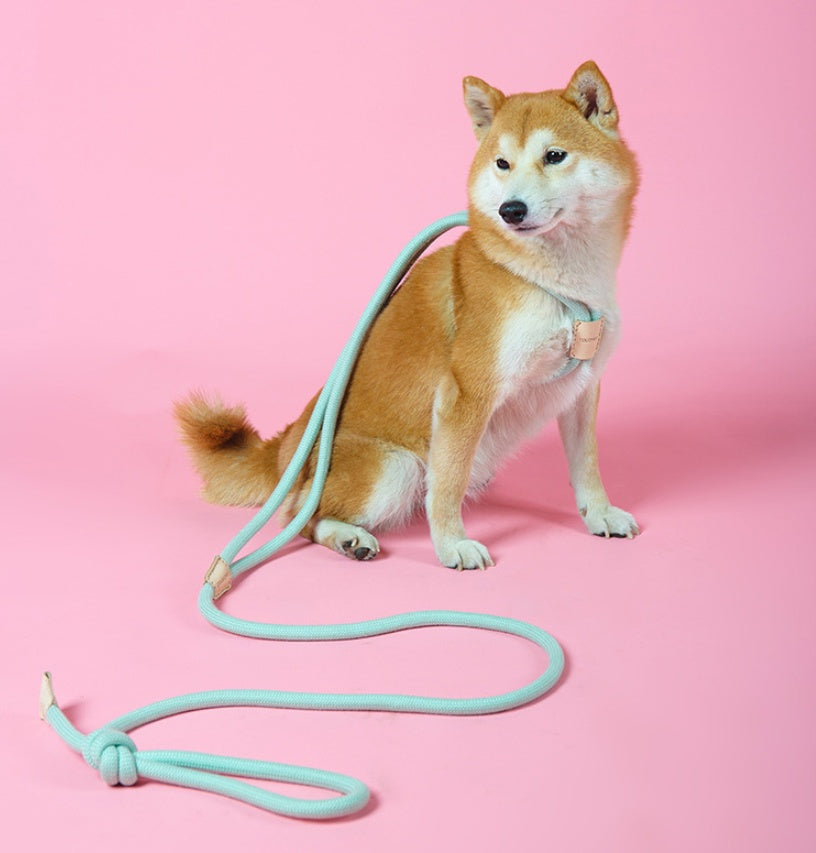 Dual Purpose Integrated Round Rope Pet Leash Durable Design