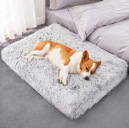 Square Plush Memory Foam Pet Sofa Sleeping Bed