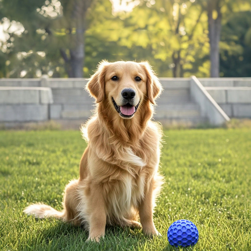 Pet Indestructible Squeaky Chew Ball Interactive Durable Toy