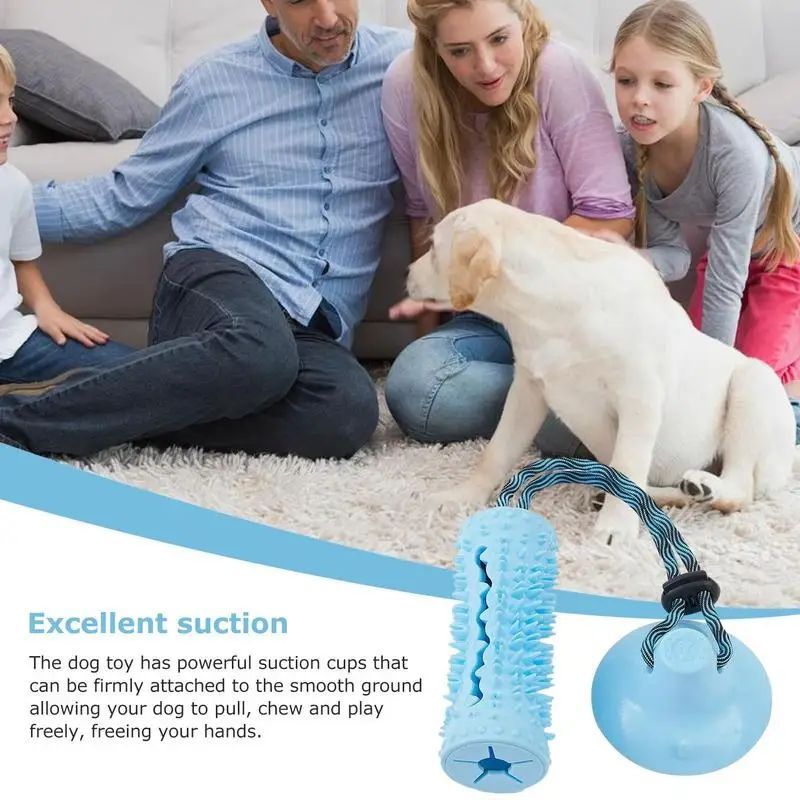 Pet Chew Ball Interactive Puzzle Food Dispenser Tug Toy