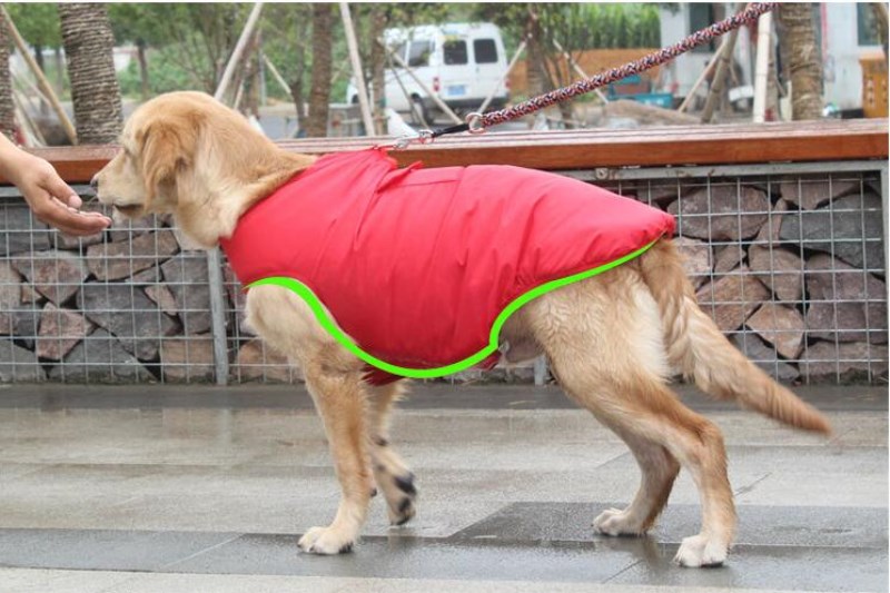 Pet Winter Cotton Coat Warm Outdoor Clothing
