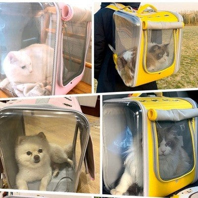 Portable Pet Backpack For Outdoor Travel Lightweight Carrier