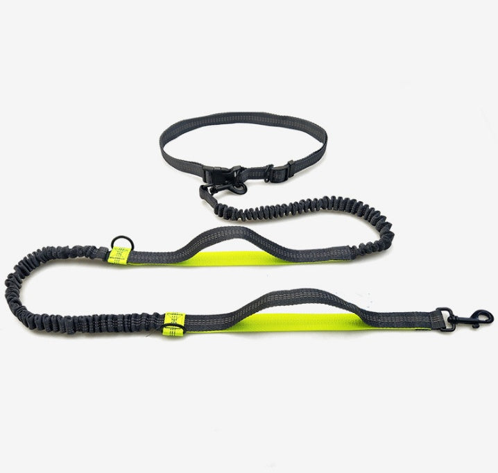 Reflective Dual Elastic Pet Running Leash With Traction Control