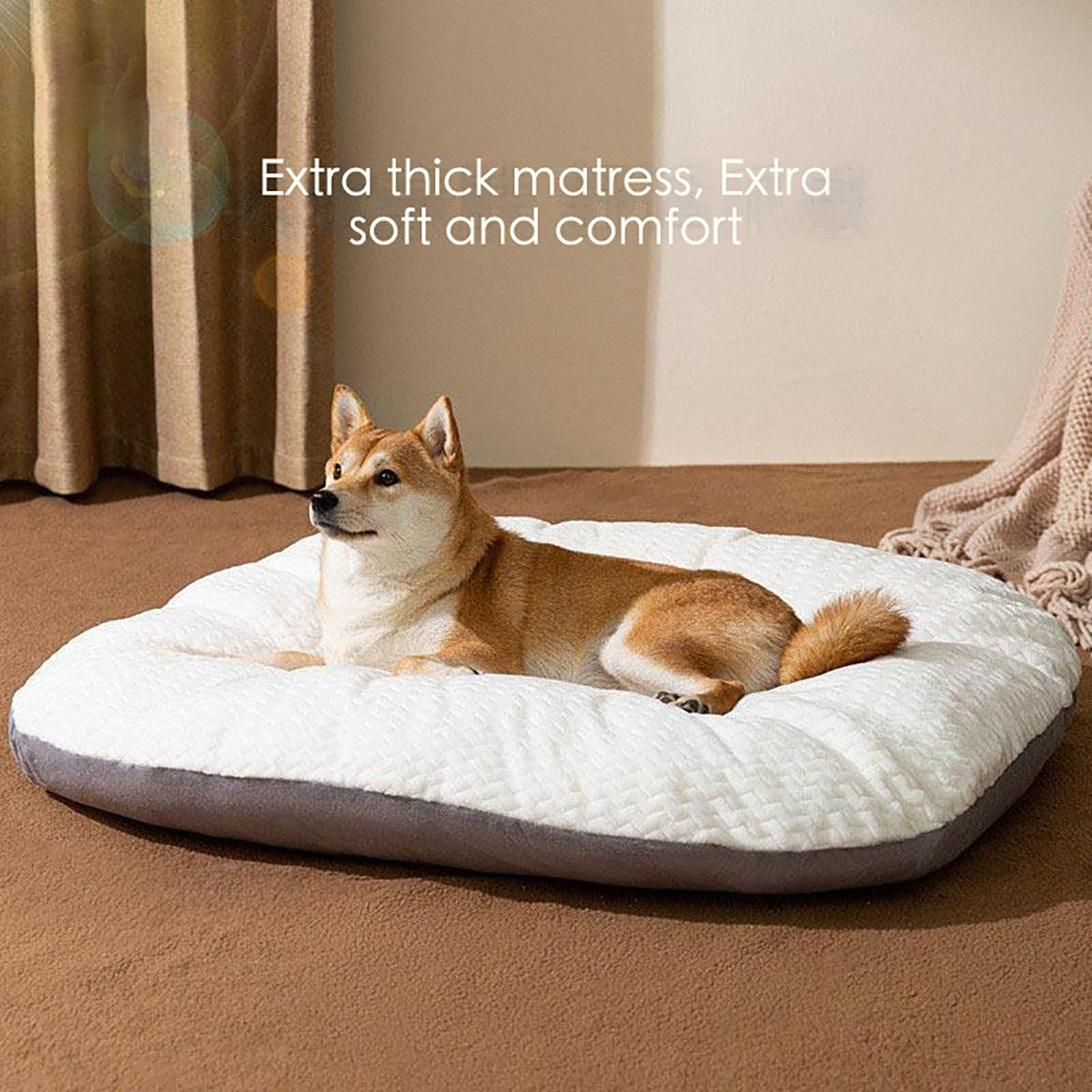Oval Shape Washable Large Pet Cushion Bed For Crates
