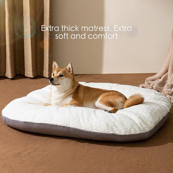 Oval Shape Washable Large Pet Cushion Bed For Crates