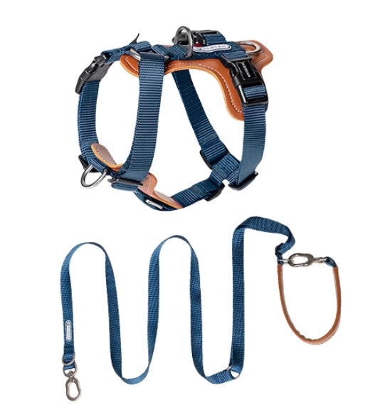 Multifunctional Anti Pull Pet Chest Harness Leash Set
