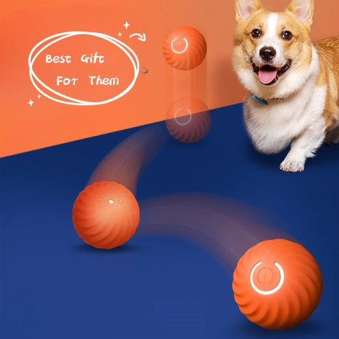 Pet Rubber Chew Ball Bite-Resistant Training Toy