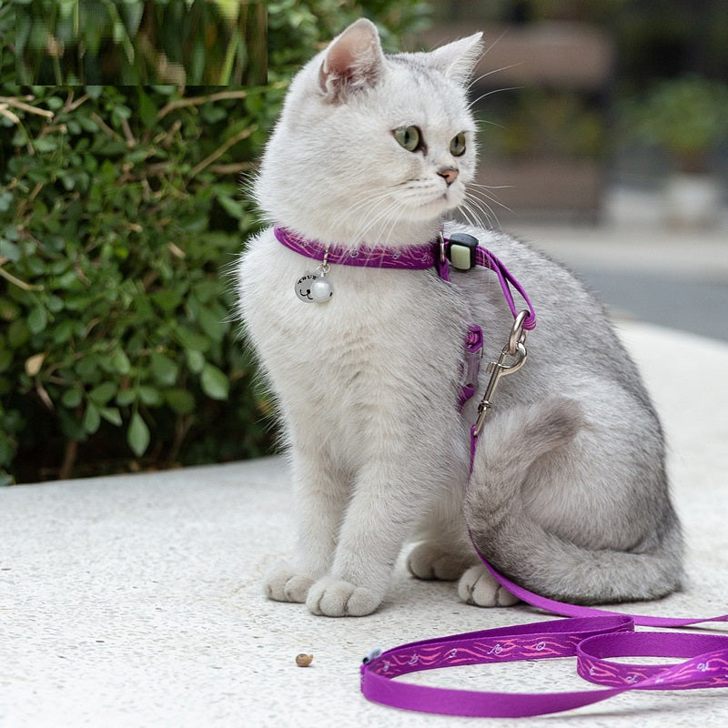 Pet Bell Chest Strap Vest With Leash Set
